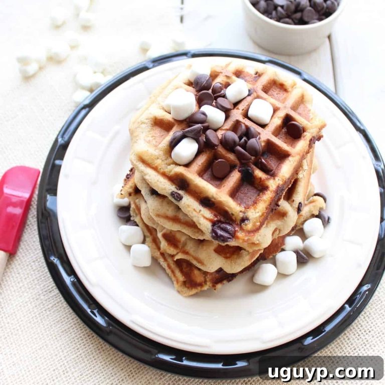 Decadent Gluten-Free S'mores Waffles 93 featured 12379