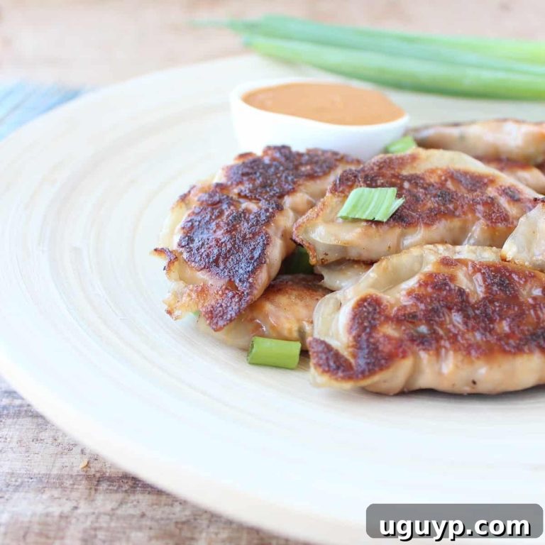 Peanut Satay Chicken Potstickers 9 featured 14303