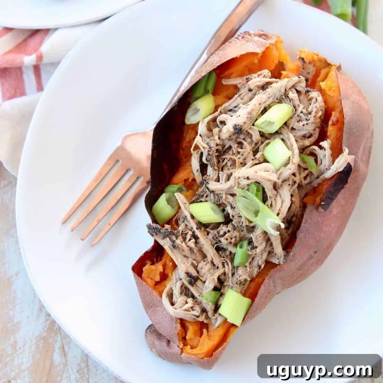 Bold Coffee Crusted Slow Cooker Pulled Pork Tenderloin 43 featured 14496