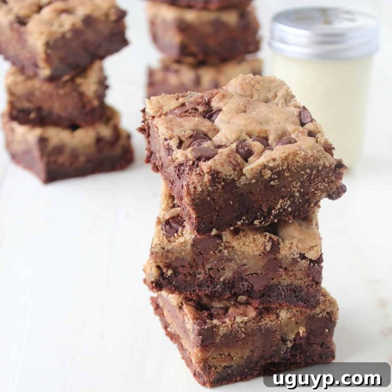 Decadent Gluten-Free Nutella Brookies 11 featured 15899