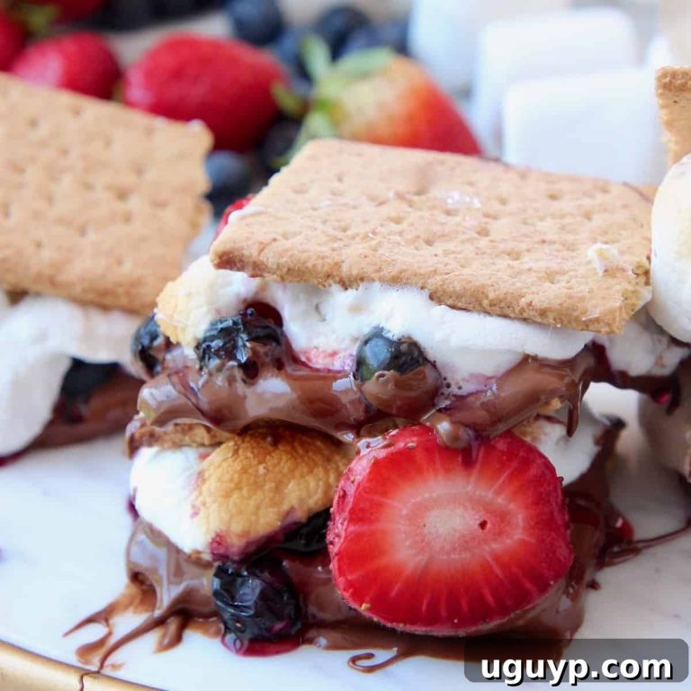 Berry Smores Four Flavorful Variations 38 featured 17579