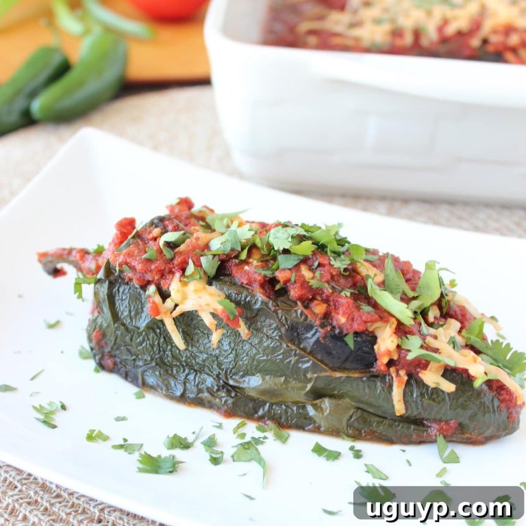 Smoky Stuffed Poblano Enchiladas Gluten-Free 26 featured 17853