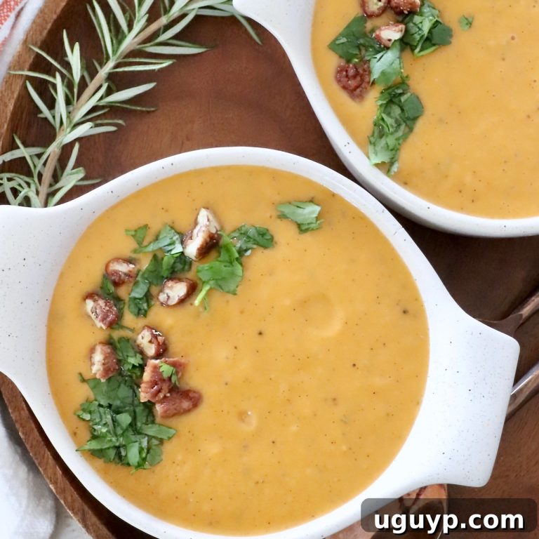 Harvest Sweet Potato Comfort 5 featured 23010