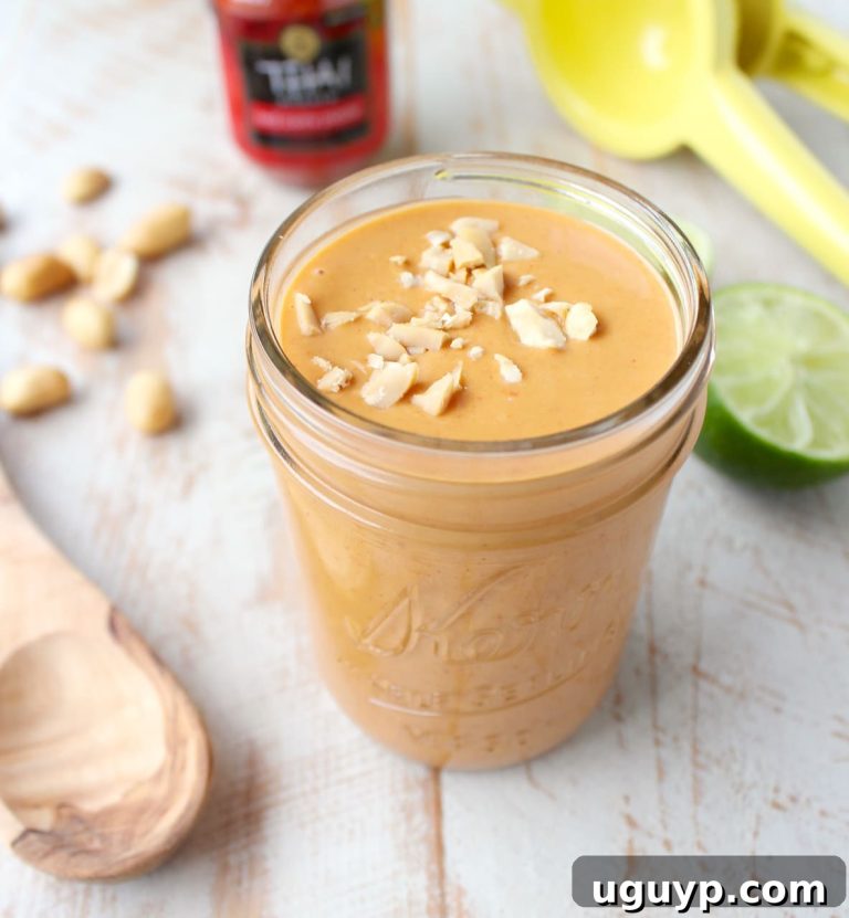 Rich & Creamy Thai Peanut Sauce 13 featured 23848
