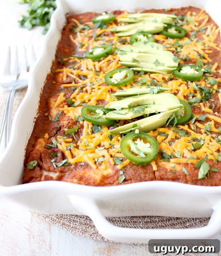 Spiced Pumpkin Enchiladas 11 featured 26387