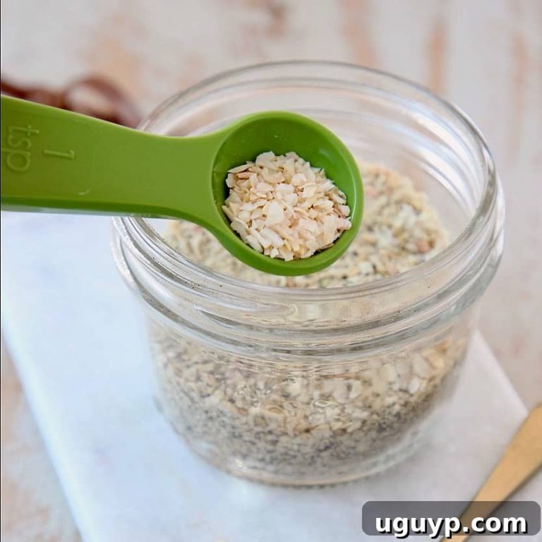 Gourmet French Onion Dip Mix 11 featured 28246