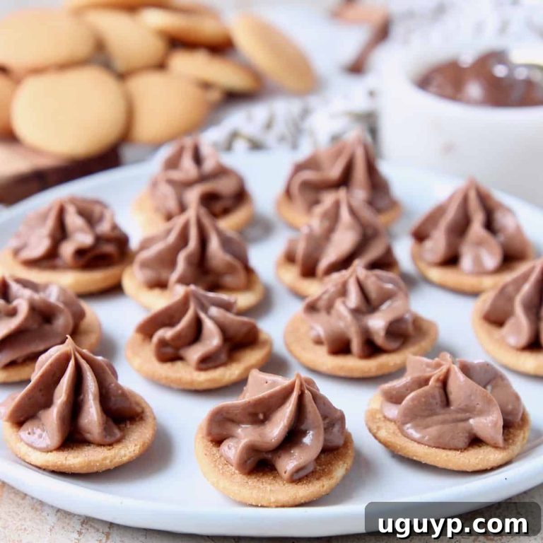 Irresistible Nutella Cheesecake Treats 61 featured 4922