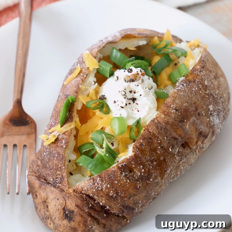 Crispy Air Fryer Baked Potatoes 65 featured 52160