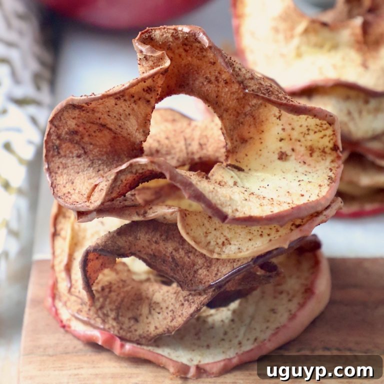 Oven Baked or Air Fried Apple Chips 31 featured 53016