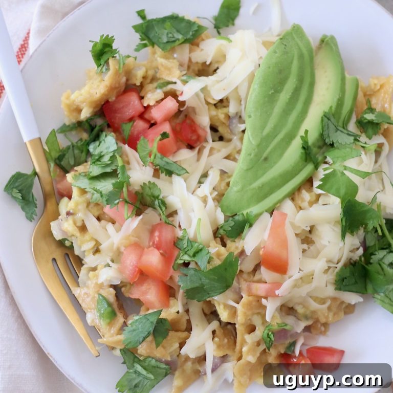 Migas Comfort Crumbs 48 featured 53790