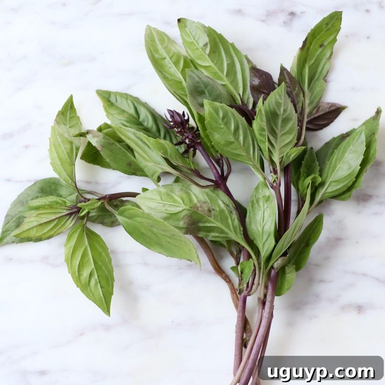 THAI BASIL: A CULINARY GUIDE 8 featured 54629