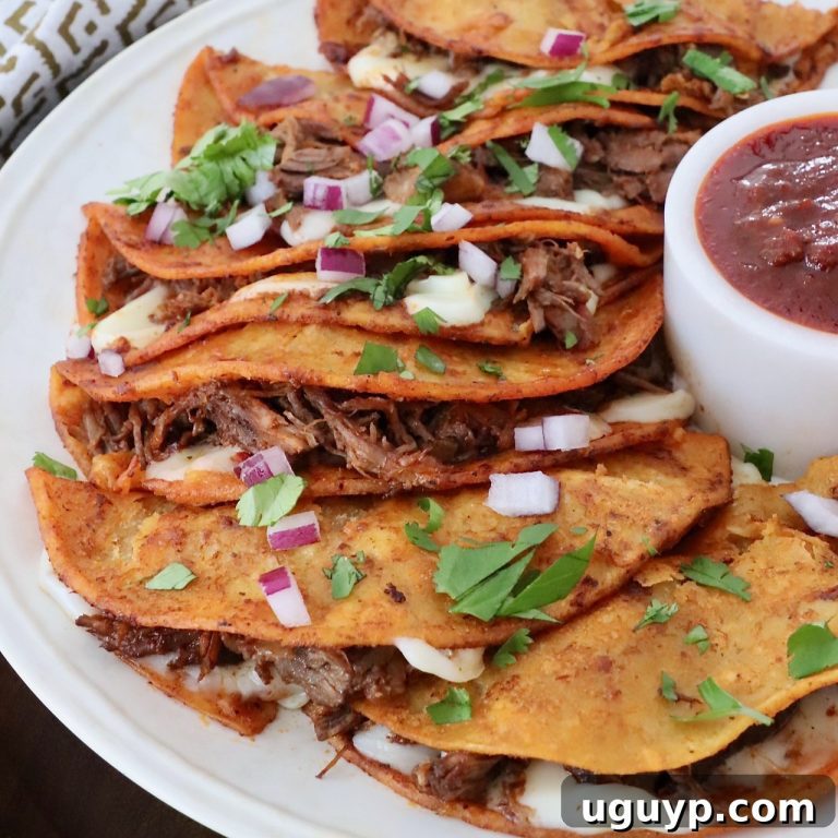 The Cheesy Birria Sensation 37 featured 57473