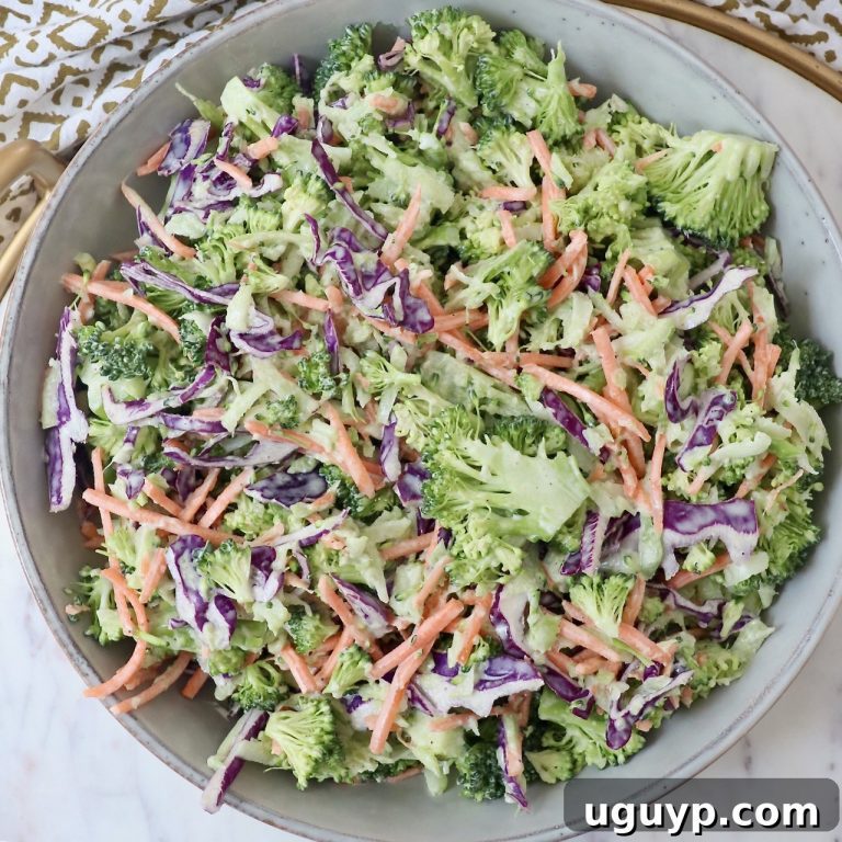 Crisp Broccoli Medley 3 featured 63200