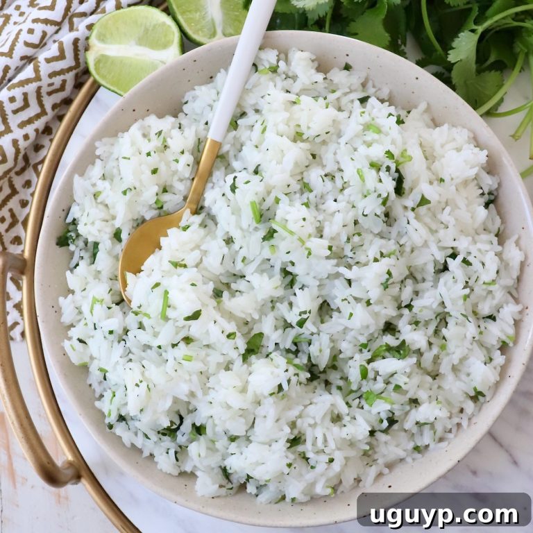 Vibrant Cilantro Lime Rice 55 featured 64270