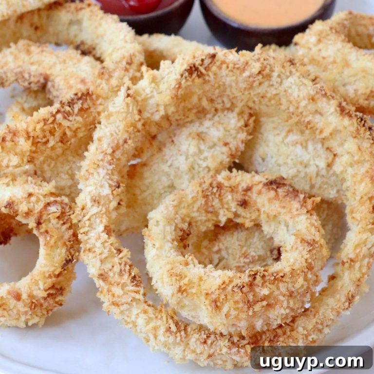 Crispy Air Fryer Onion Rings 29 featured 64618