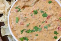 Zesty Rotel Cheese Dip