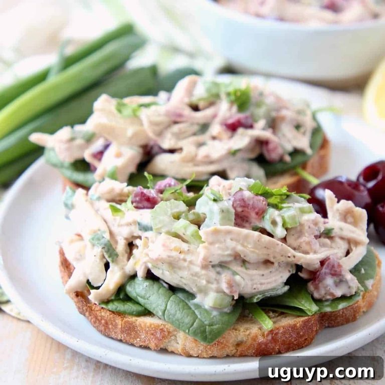 Gourmet Cherry Tarragon Chicken Salad Sandwich 20 featured 9886