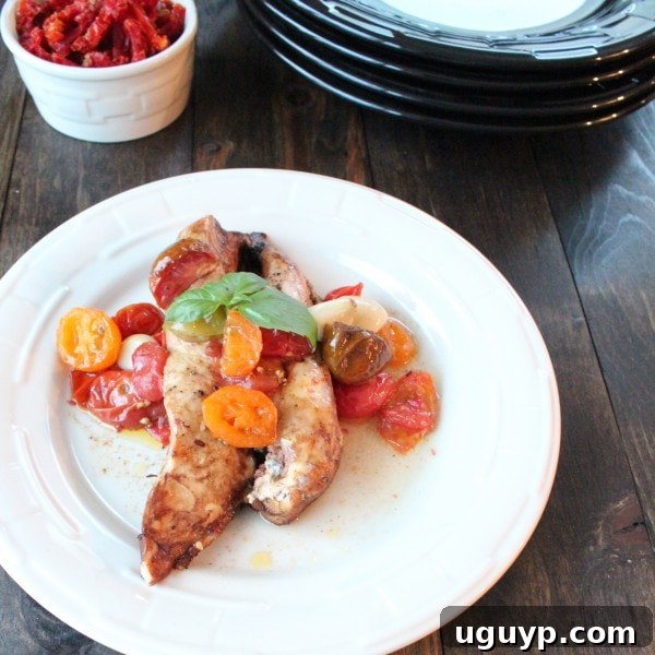 Served Balsamic Heirloom Tomato Chicken Dish