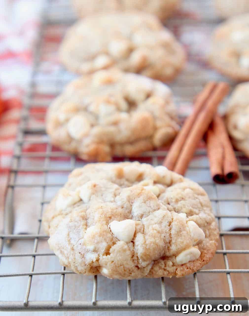 White chocolate chip cookies on wire baking rack with cinnamon sticks
