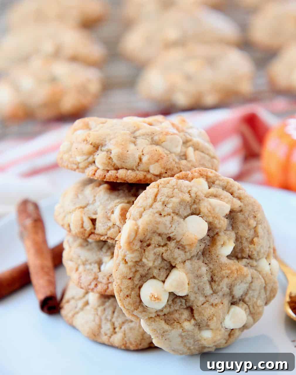 Pumpkin spice cookies with white chocolate chips on plate