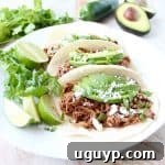 Slow Cooker Pulled Pork Tenderloin Chipotle Honey Tacos