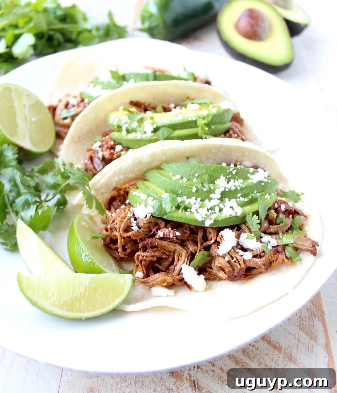 Close-up of a Slow Cooker Pulled Pork Tenderloin Chipotle Honey Taco, showcasing the tender pork, avocado, and cotija cheese in a corn tortilla.