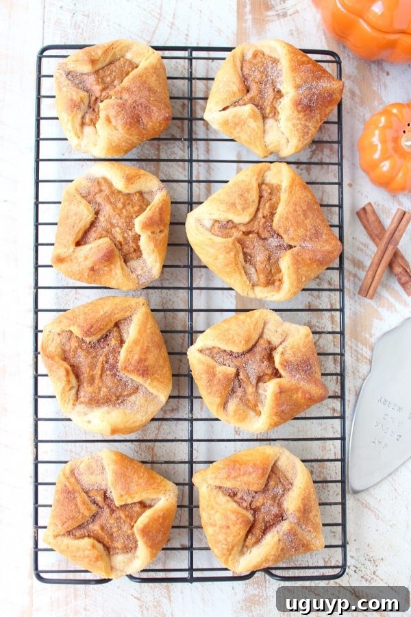 Golden brown pumpkin filled pastries cooling on a wire rack, ready to be enjoyed.
