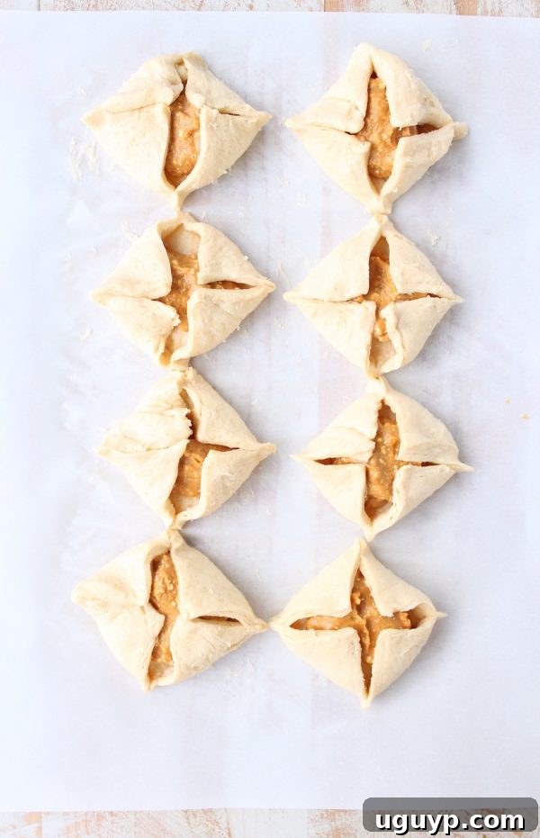 Uncooked pumpkin filled pastries, neatly folded and sealed, arranged on parchment paper.