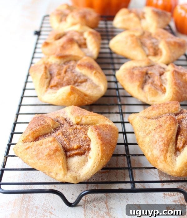 Freshly baked pumpkin pastries, golden and flaky, cooling on a black wire baking rack.