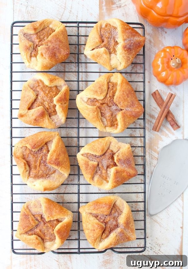 A close-up shot of pumpkin filled pastries arranged on a wire baking rack, highlighting their flaky crust.