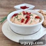 Sun-Dried Tomato Basil Dip