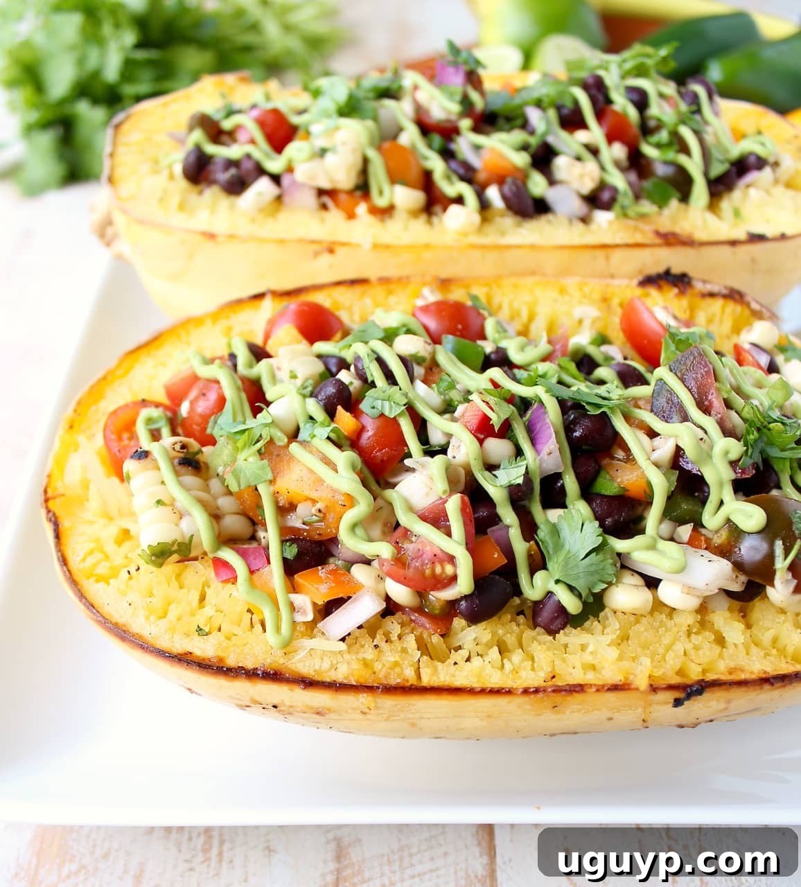 A perfectly stuffed roasted spaghetti squash half, garnished and ready to be enjoyed.