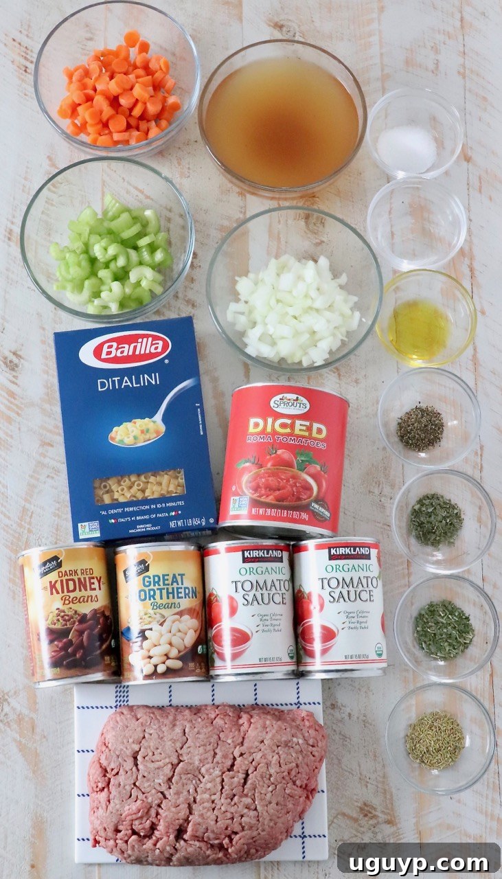 A colorful array of fresh ingredients laid out, ready for making Pasta Fagioli soup.