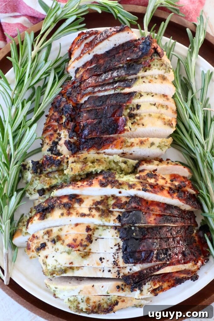 sliced turkey breast on plate with crispy brown skin