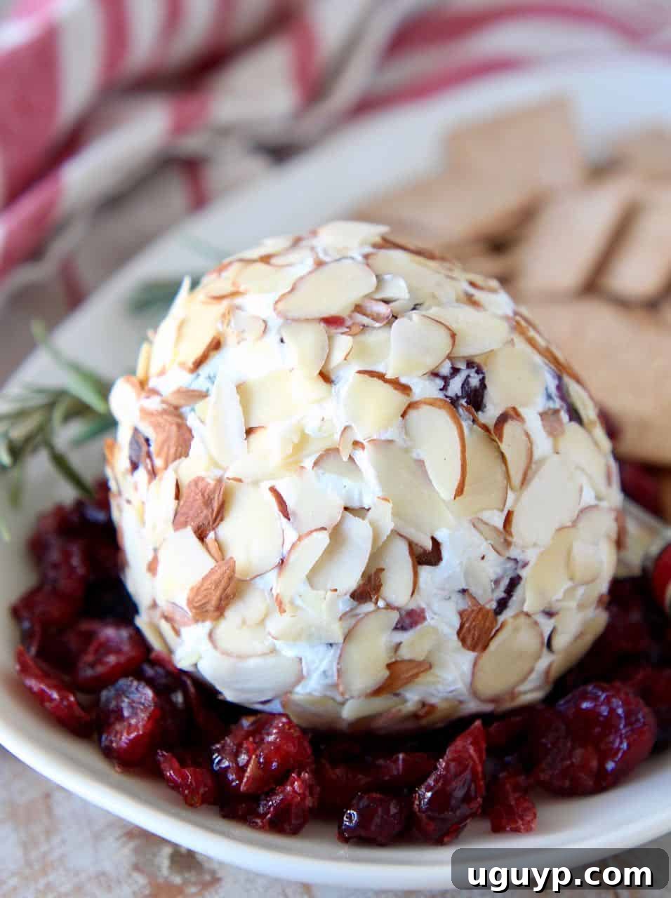 A beautifully presented Cranberry Goat Cheese Ball on a platter, surrounded by vibrant dried cranberries and a variety of crispy crackers, inviting guests to dig in.