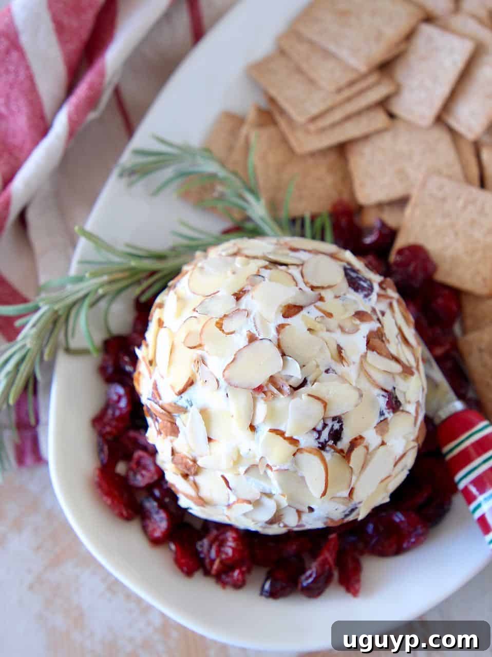 A beautifully garnished Cranberry Goat Cheese Ball, ready to serve, surrounded by fresh rosemary sprigs, scattered dried cranberries, and a selection of crackers on a elegant white plate.