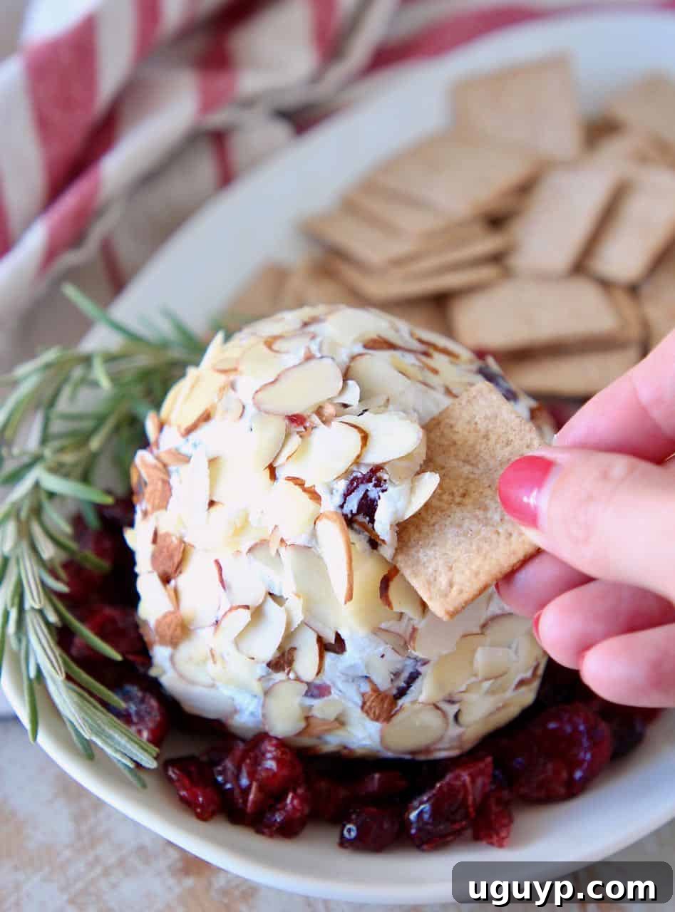 A close-up shot of a hand dipping a crispy cracker into a luscious Cranberry Goat Cheese Ball, showcasing its inviting texture and the perfect bite-sized portion.