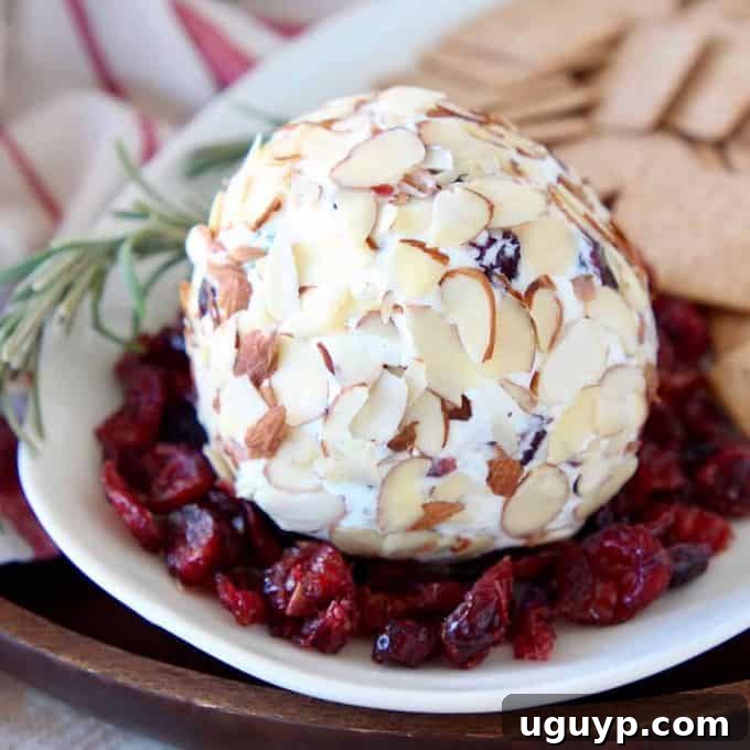 A vibrant Cranberry Goat Cheese Ball, artfully arranged on a clean white plate and garnished with a scattering of dried cranberries, ready for an exquisite appetizer experience.