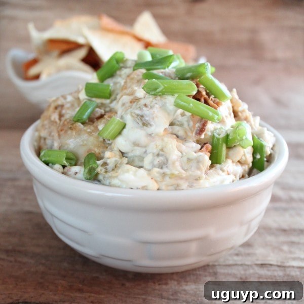 Cheesy and savory pulled pork dip, perfect for sharing.