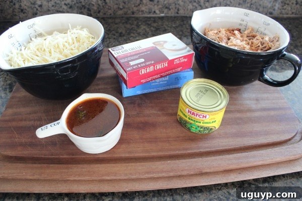 Key ingredients laid out for making the Chipotle Pulled Pork Dip.