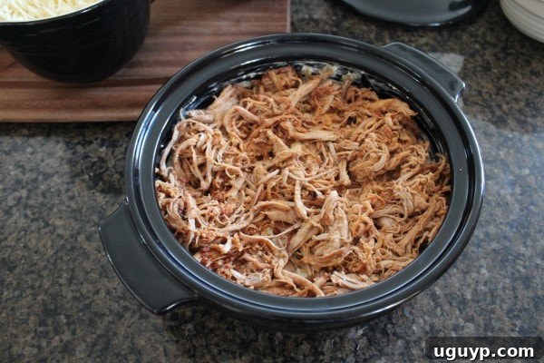 Layering the delicious pulled pork mixture over the cream cheese base.