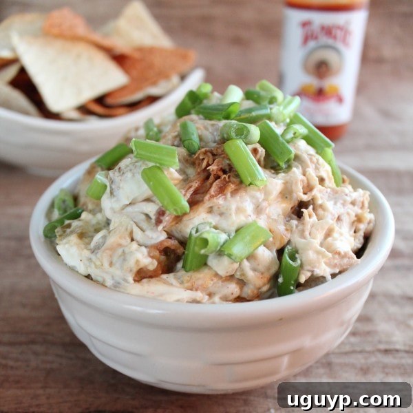 The golden, bubbly Chipotle Pulled Pork Dip fresh from the oven, topped with green onions.