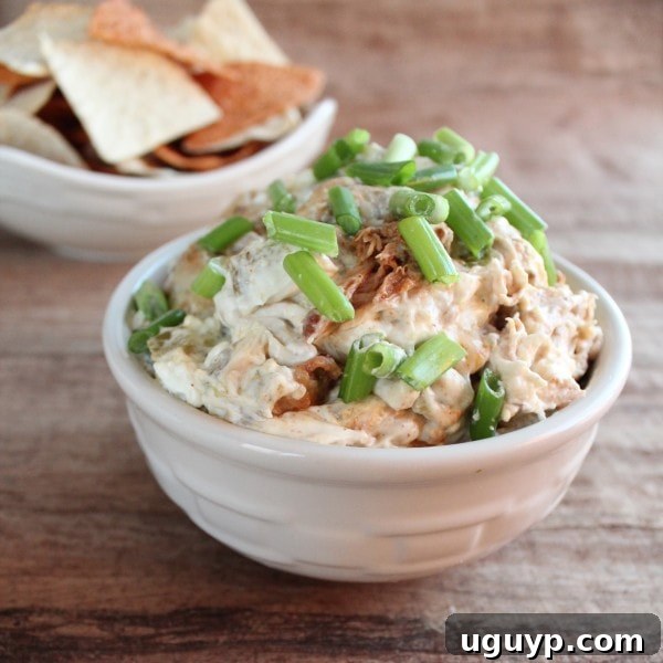 A close-up of the creamy, cheesy pulled pork dip with dippers.