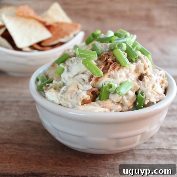 A final shot of the irresistible pulled pork dip, perfect for any occasion.