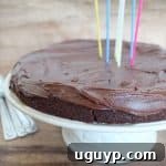 Dairy-Free Gluten-Free Chocolate Cake