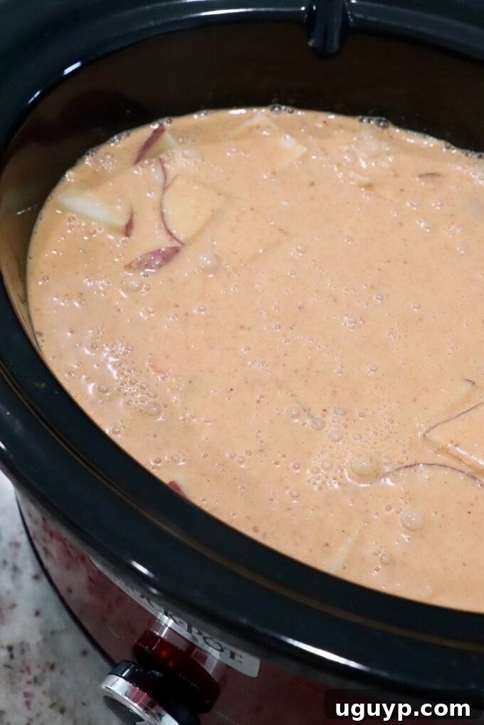 Slow cooker filled with Massaman Curry Chicken, vegetables, and sauce, simmering gently.