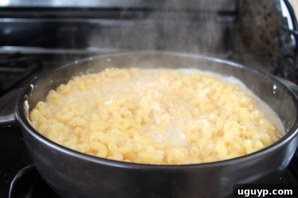 Cooked macaroni noodles being stirred into the melted three-cheese sauce in a large skillet, creating a creamy and cohesive mixture.