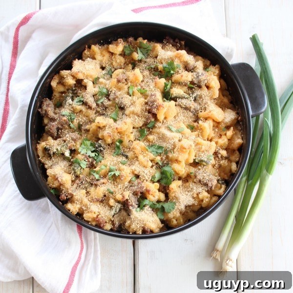Freshly baked Jalapeño Macaroni and Cheese in a rustic skillet, showing the bubbly cheese and golden breadcrumb topping, hot from the oven.