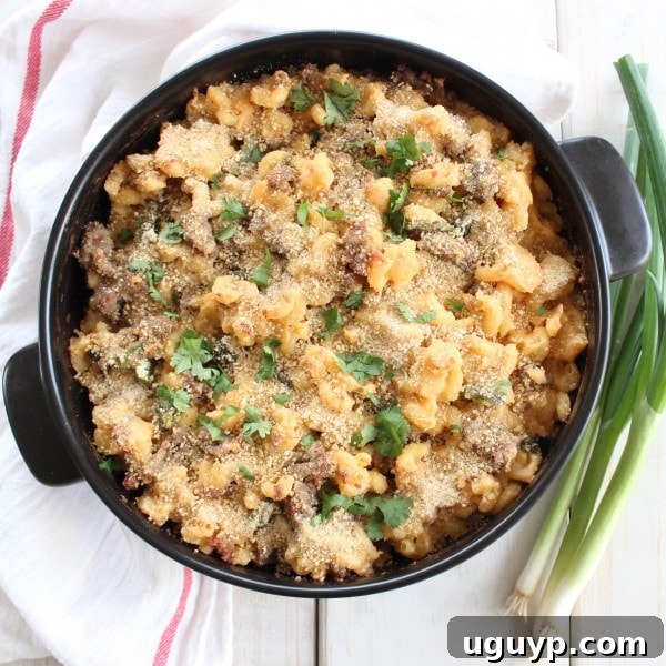Close-up of a generous serving of Spicy Macaroni and Cheese, showing the rich, melted cheese sauce coating the noodles with hints of sausage and jalapeños.