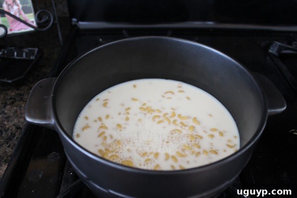 Cooking elbow macaroni noodles in milk in a large pot, showing the creamy texture forming as the milk absorbs.